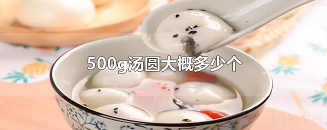 500g汤圆大概多少个 500g汤圆大概多少个