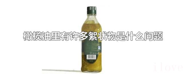 橄榄油里有许多絮状物是什么问题