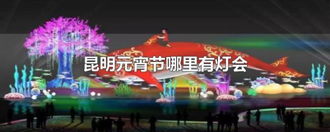 昆明元宵节哪里有灯会 昆明元宵节哪里有灯会