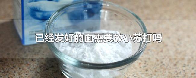 已经发好的面需要放小苏打吗