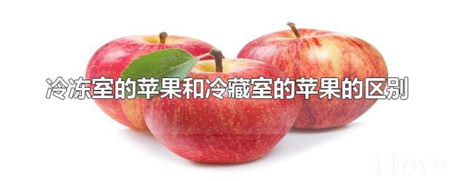 冷冻室的苹果和冷藏室的苹果的区别