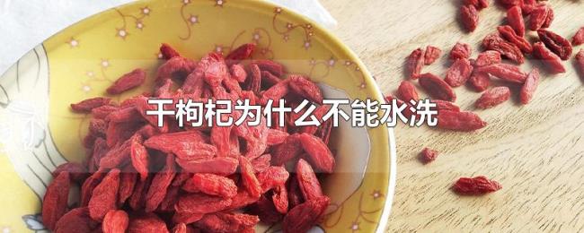 干枸杞为什么不能水洗