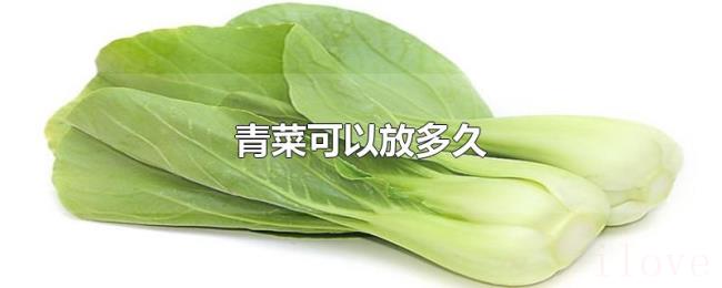 青菜可以放多久