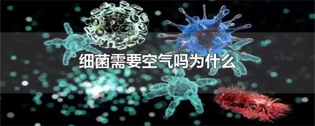 细菌需要空气吗为什么 细菌需要空气吗为什么