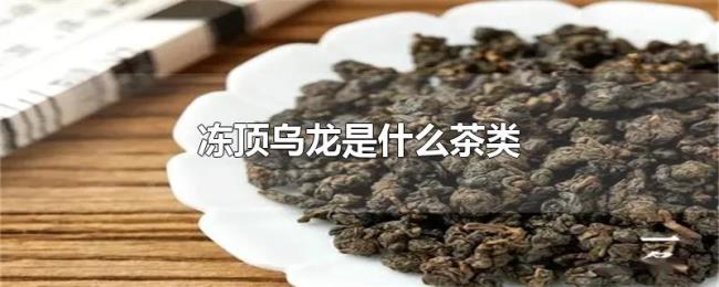 冻顶乌龙是什么茶类 冻顶乌龙是什么茶类