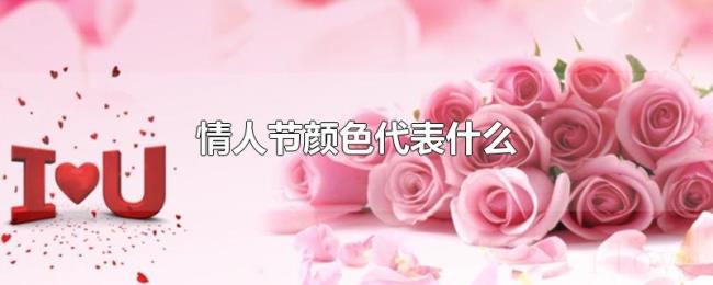 情人节颜色代表什么