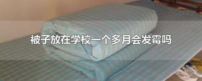 被子放在学校一个多月会发霉吗 被子放在学校一个多月会发霉吗
