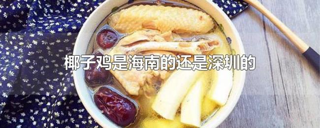 椰子鸡是海南的还是深圳的