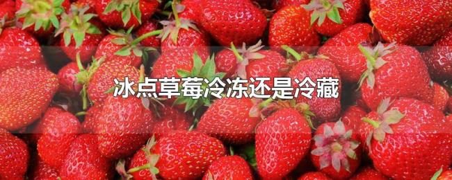 冰点草莓冷冻还是冷藏
