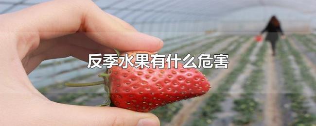 反季水果有什么危害