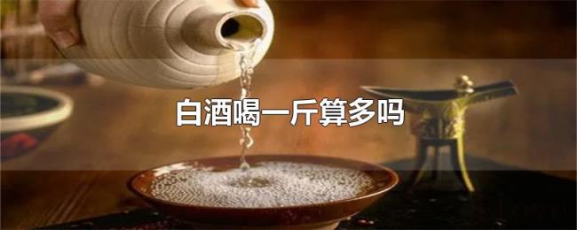 白酒喝一斤算多吗 白酒喝一斤算多吗