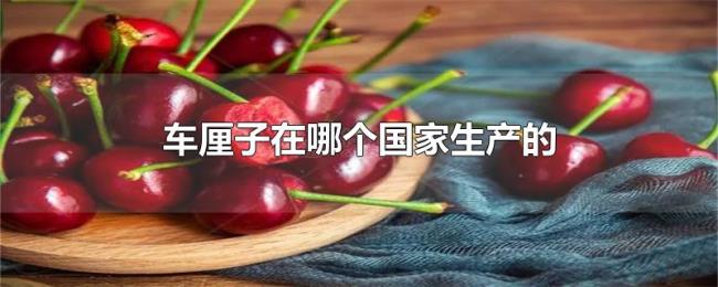 车厘子在哪个国家生产的 车厘子在哪个国家生产的