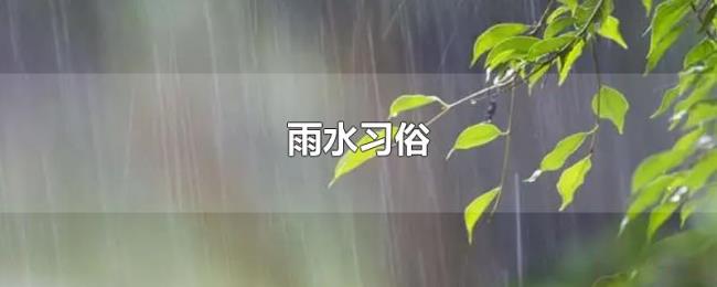雨水习俗