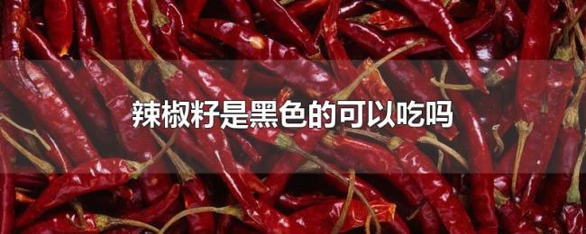 辣椒籽是黑色的可以吃吗
