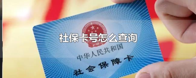 社保卡号怎么查询
