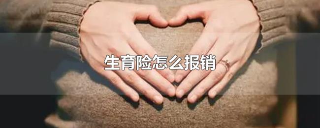 生育险怎么报销 生育险怎么报销