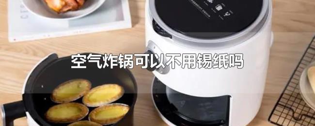 空气炸锅可以不用锡纸吗 空气炸锅可以不用锡纸吗