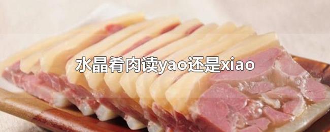 水晶肴肉读yao还是xiao 水晶肴肉读yao还是xiao