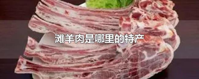 滩羊肉是哪里的特产