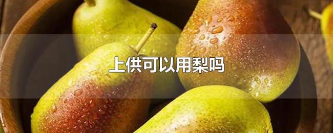 上供可以用梨吗 上供可以用梨吗