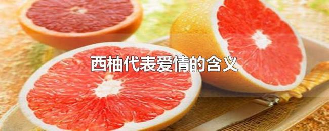 西柚代表爱情的含义