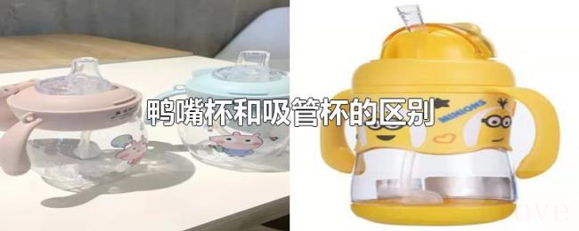 鸭嘴杯和吸管杯的区别