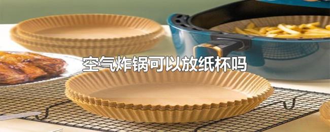 空气炸锅可以放纸杯吗 空气炸锅可以放纸杯吗