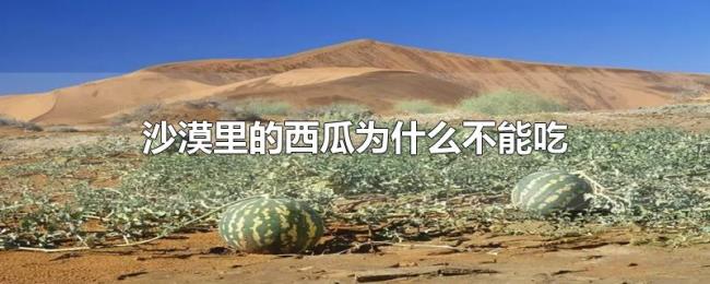 沙漠里的西瓜为什么不能吃 沙漠里的西瓜为什么不能吃
