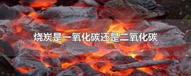 烧炭是一氧化碳还是二氧化碳
