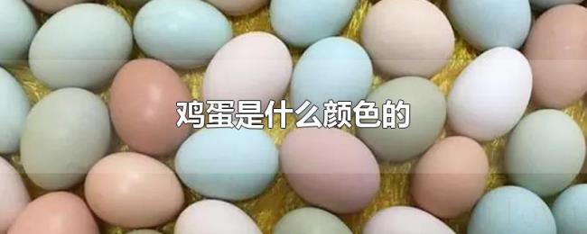 鸡蛋是什么颜色的 鸡蛋是什么颜色的