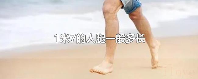 1米7的人腿一般多长 1米7的人腿一般多长