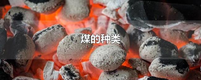 煤的种类
