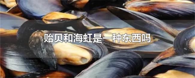 贻贝和海虹是一种东西吗 贻贝和海虹是一种东西吗