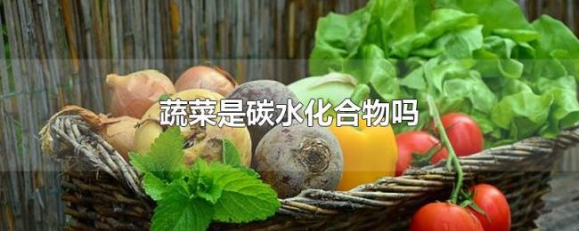 蔬菜是碳水化合物吗 蔬菜是碳水化合物吗