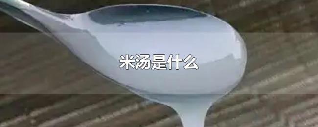 米汤是什么 米汤是什么