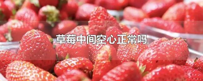 草莓中间空心正常吗 草莓中间空心正常吗