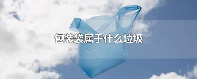 包装袋属于什么垃圾