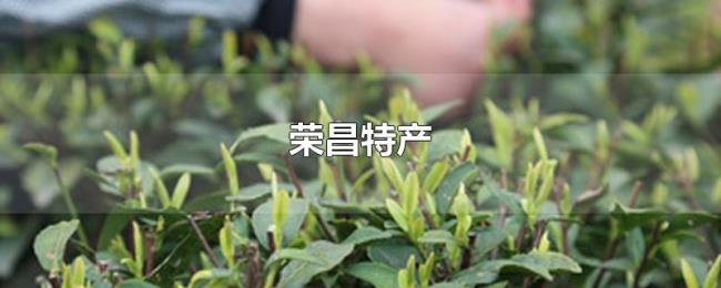 荣昌特产