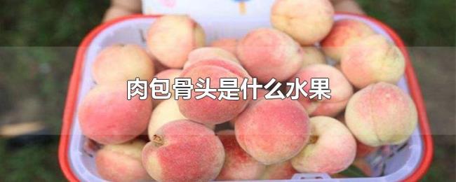 肉包骨头是什么水果