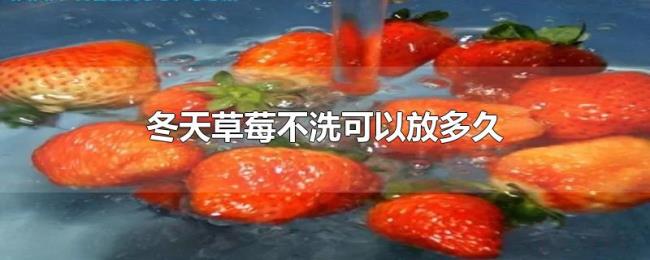 冬天草莓不洗可以放多久