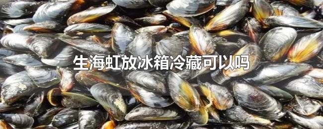 生海虹放冰箱冷藏可以吗