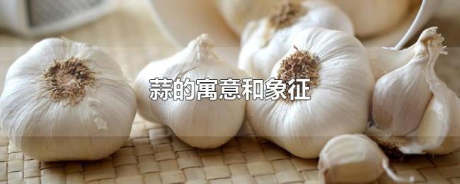 蒜的寓意和象征