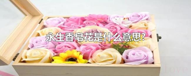永生香皂花是什么意思? 永生香皂花是什么意思?