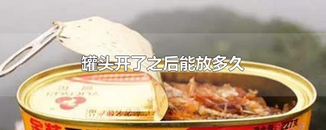 罐头开了之后能放多久