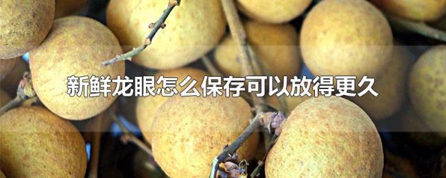 新鲜龙眼怎么保存可以放得更久