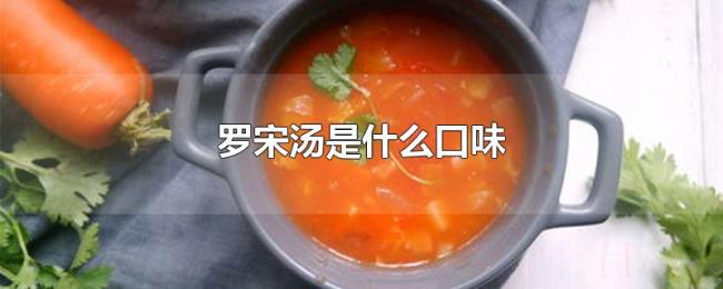 罗宋汤是什么口味