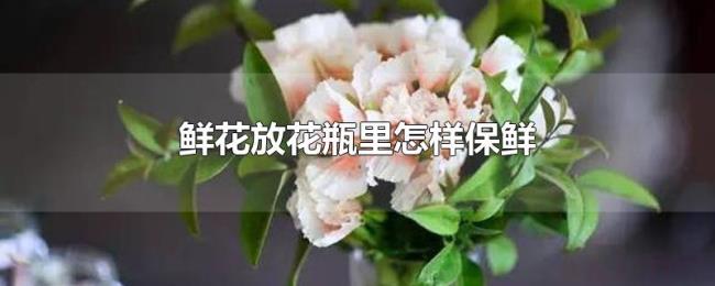 鲜花放花瓶里怎样保鲜