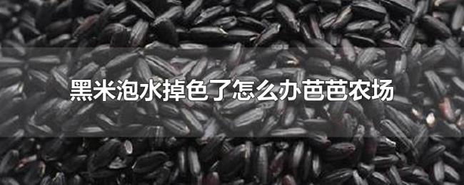 黑米泡水掉色了怎么办芭芭农场 黑米泡水掉色了怎么办芭芭农场
