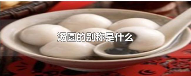 汤圆的别称是什么 汤圆的别称是什么