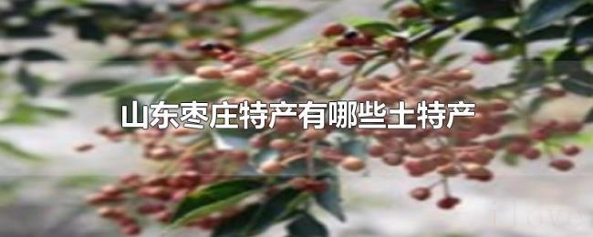 山东枣庄特产有哪些土特产